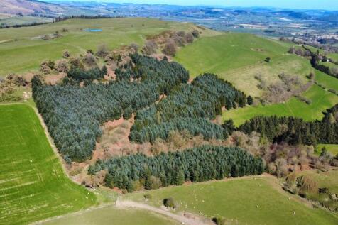 dji_fly_20250406_143946_524_1744182721001_photo_op