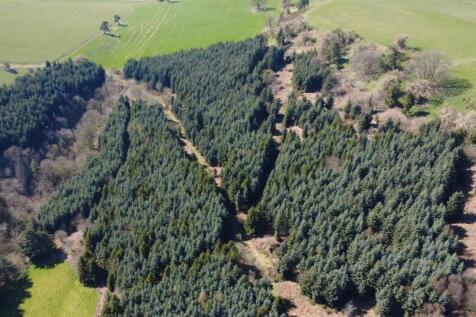 dji_fly_20250406_143614_510_1743946622651_photo_op