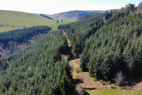 dji_fly_20250406_143456_506_1744182787709_photo_op