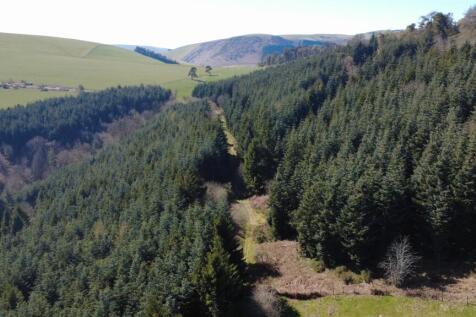 dji_fly_20250406_143456_506_1743946549492_photo_op