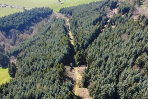 dji_fly_20250406_143510_507_1743946549487_photo_op