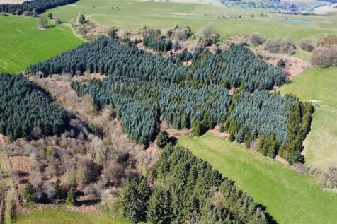 dji_fly_20250406_143800_516_1744182750767_photo_op
