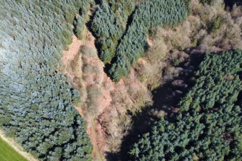 dji_fly_20250406_144042_530_1744182807515_photo_op