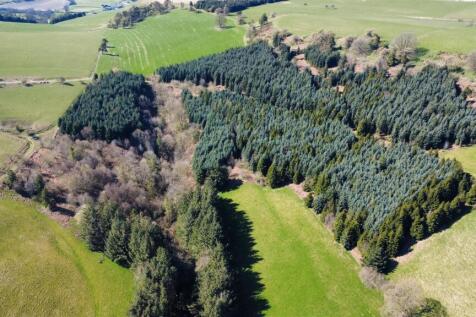 dji_fly_20250406_143700_512_1744182763214_photo_op