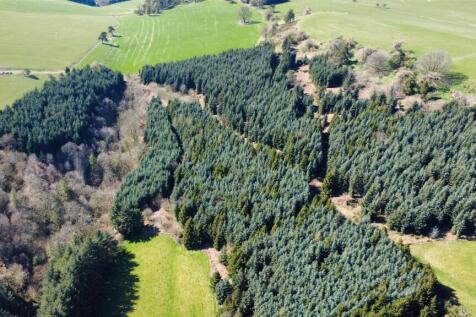 dji_fly_20250406_144148_536_1744182837697_photo_op