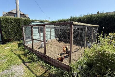 Chicken Coop