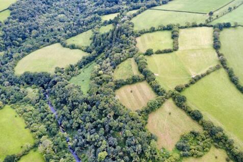 dji_fly_20250806_134120_529_1754524491637_photo_op