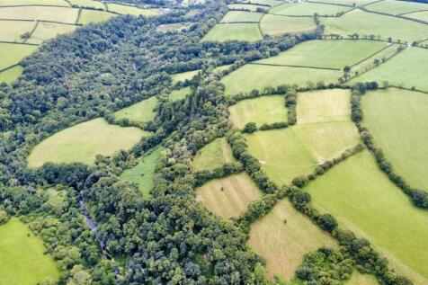 dji_fly_20250806_134102_526_1754524493032_photo_op