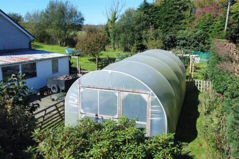 Polytunnel
