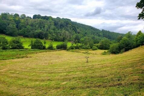 The land