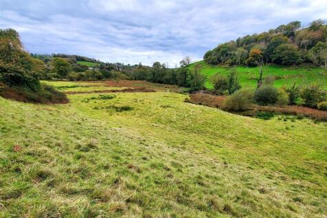 The land