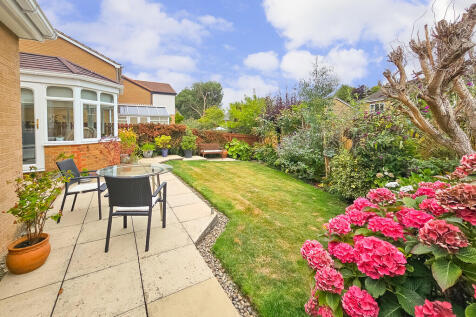 Property Image 13