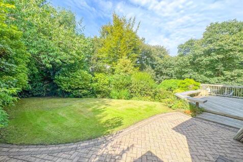 Property Image 43
