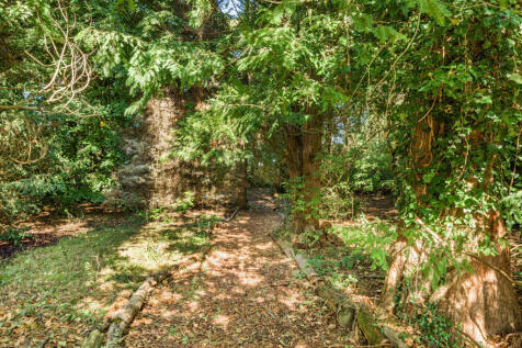 Woodland Walk