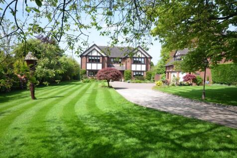 Property Image 33