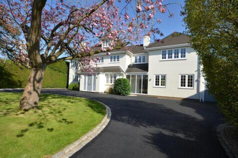 Property Image 41