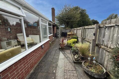 Back Garden v3.jpg