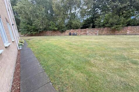 Back Garden.jpg