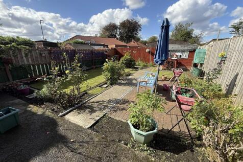 Back Garden.jpg