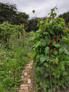 Property Image 36