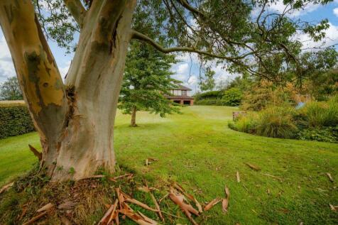 Property Image 29