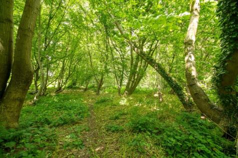 Property Image 33