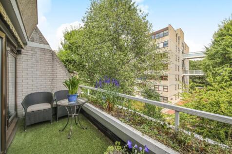 Roof Terrace