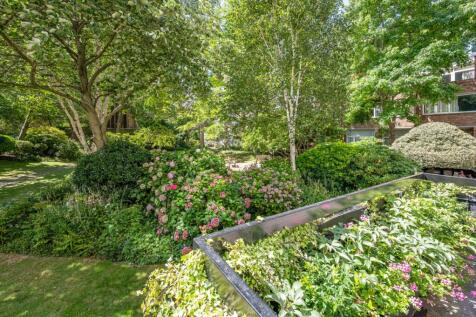 Communal Garden