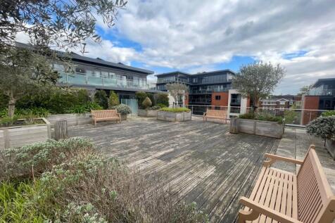 Roof Terrace