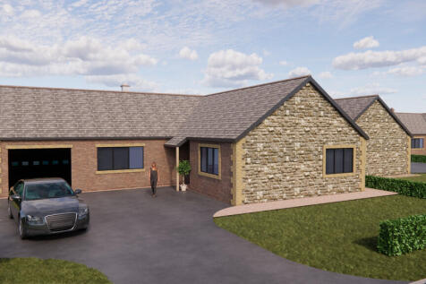 Plot 8