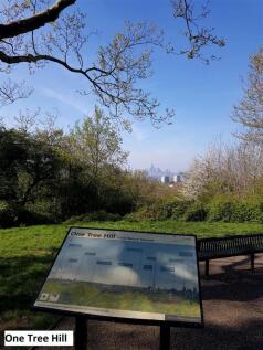 One Tree Hill.jpg