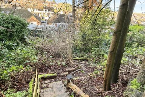 Wooded Area