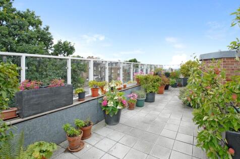 Roof Terrace