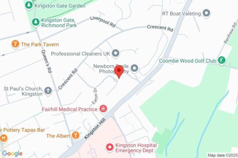 Google Maps Image