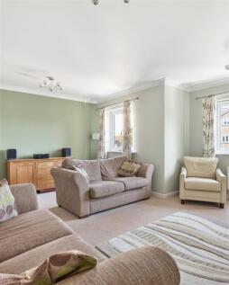 P untitled (10 of 17).jpg