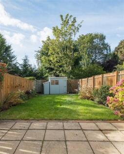 P untitled (4 of 17).jpg