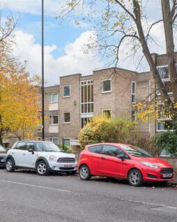 P untitled (1 of 13).jpg