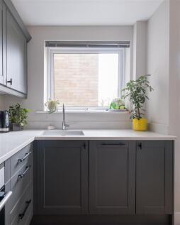 P untitled (5 of 13).jpg