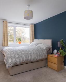 P untitled (9 of 13).jpg