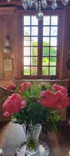 Photo 46