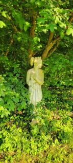 Photo 47