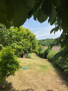 Photo 44