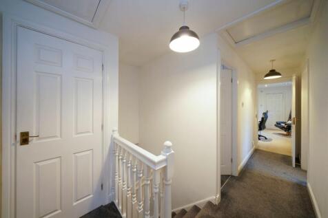 Photograph 41