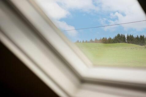 Photograph 64