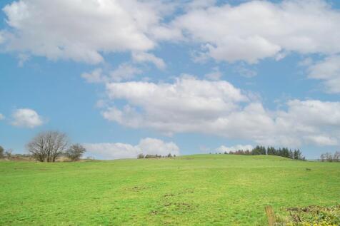 Photograph 78
