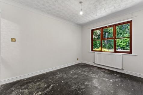 Photograph 39