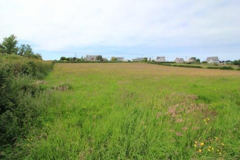 Front paddock