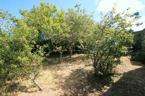 side orchard