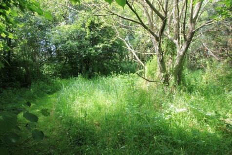woodland paths