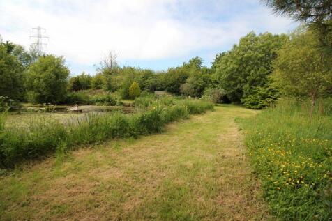 woodland and lake path